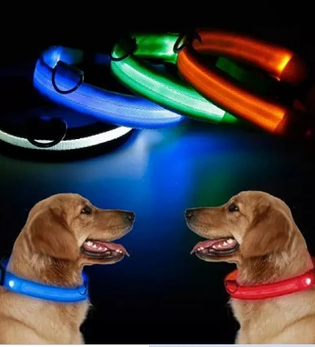 COLLAR LED PERROS Y GATOS